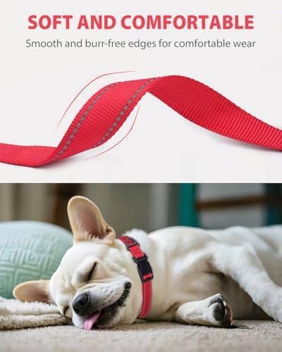 Joytale Dog Collar (10-16") and 6FT x 1" Wide Dog Leash Set, Reflective and Adjustable Nylon Collar and Padded Handle Leash for Small Dogs, Red, S