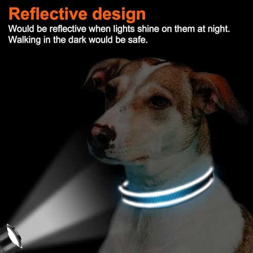 Joytale Reflective Dog Collar, Adjustable Neoprene Padded, Sky Blue XL