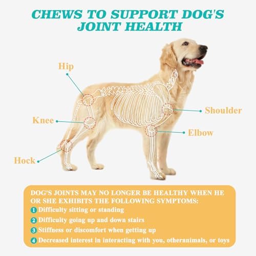 Dog Hip & Joint Supplement – Glucosamine for Dogs Chews with Chondroitin & MSM, Advanced Joint Support for Large & Senior Dogs, Supports Mobility & Everyday Comfort – 180 Count
