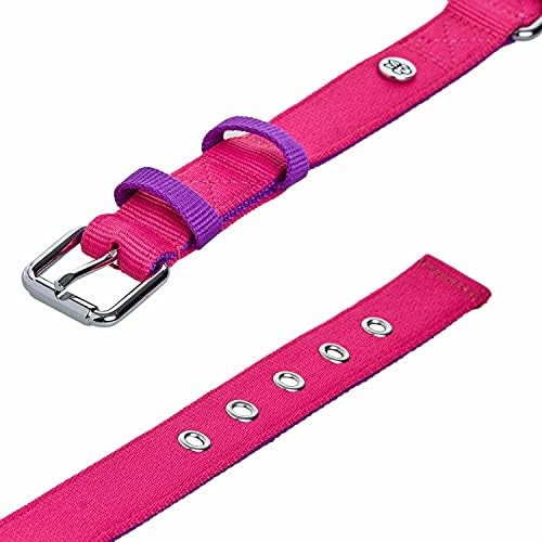 Blueberry Pet Iconic Color-Block Adjustable Dog Collar with Metal Buckle, Cerise and Dark Purple, Neck 13-16.5", for Medium Breed