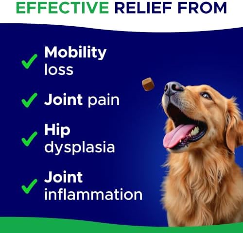 Dog Joint Supplement Large Breed - Glucosamine & Chondroitin Treats for Dogs - Supplement w/Omega-3, MSM - Made in USA - Joint Pain Relief - 240 Mobility Chews