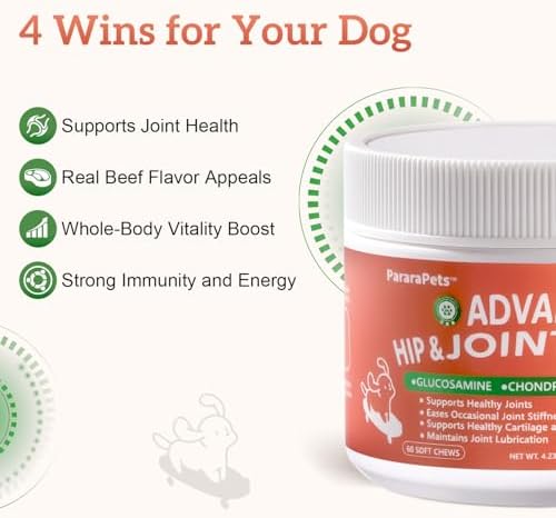Advanced Dog Hip and Joint Supplement with Glucosamine, Chondroitin, MSM, and Vitamin C, Beef Flavor, 60 Soft Chews