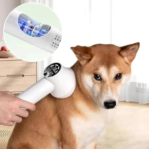 Noise-Wide Hairdryer for Pets with Slicker Brush, 2024 New Pet Hair Dryer, Low Noise Dog Hair Dryer for Small and Medium Dogs and Cats (White)