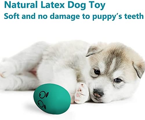 SCHITEC Squeaky Dog Toys, [4 Pack] Latex Squeak Dog Ball for Small Pets & Puppies, 2.5” Soft Rubber Bouncy Interactive Fetch Balls