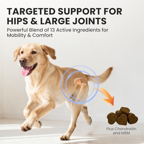 Dog Joint Supplement, Mobility Support, 180 Chews