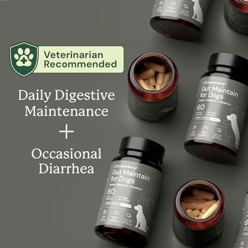 Animal Biome Medium Dog Pre & Probiotics, S Boulardii, Gut Maintain, 30 Ct