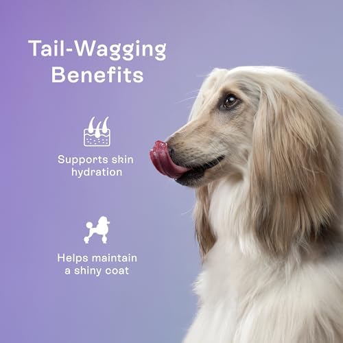 PawCo Magic Bar Healthy Functional Dog Treat – Soft, High-Protein Peanut Butter Bars with Pumpkin & Chicory Root, Supports Energy, Digestion & Overall Wellness – Pack of 8 (Skin & Coat)