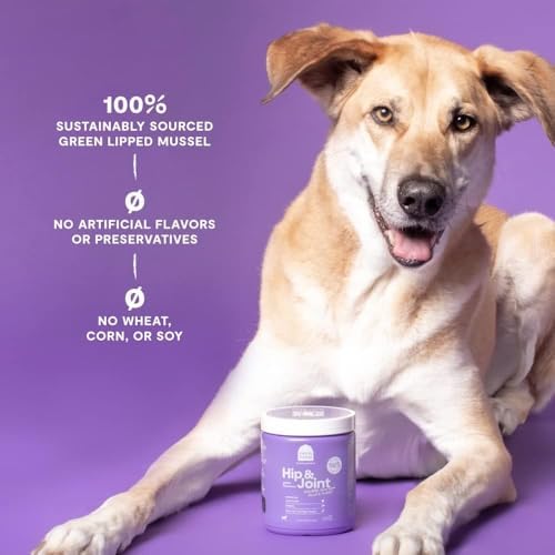 Open Farm, Senior Dog Support Bundle, Includes Grain-Free Dog Food for Seniors with Turkey & Chicken, and Hip & Joint Supplement Chews