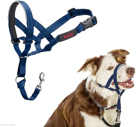 Halti Headcollar | Size 2, Cobalt Blue | Training Collar for Medium Dogs