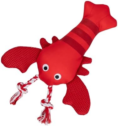 Fringe Studio Floating Dog Toy with Rope, Feeling Claw-Some