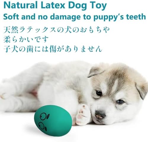SCHITEC Dog Squeak Toys, Latex Egg Balls for Puppies Small Medium Dogs | 8 Pack Squeaky Puppy Toy, Bouncy Latex Rubber ball, 2.5” Small Size, Built-in Squeaker, Funny Face Design, Interactive Fetch