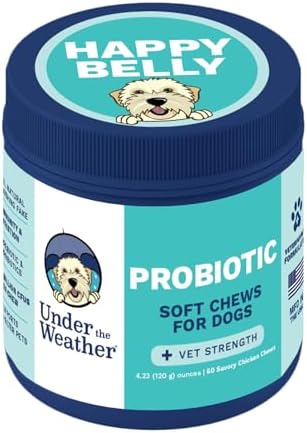 Under the Weather Probiotic Chews for Dogs | Daily Probiotics and Prebiotics for Digestive Health Gut | Balance and Immune Support | Vet Formulated Dog Digestive Supplement | Chicken Flavor | 60 Count