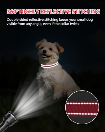 Joytale Feather-Light Dog Collar for Small & Medium Dogs, 3/4", Red