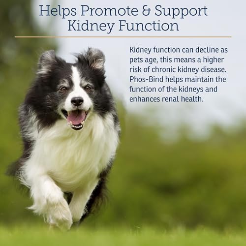 Rx Vitamins Phos-Bind - Kidney Support Supplement Powder - 200g