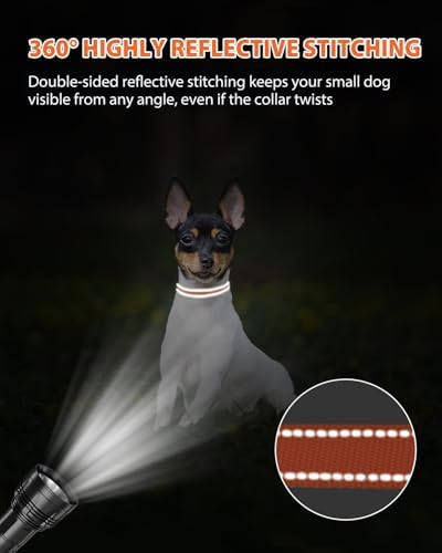 Joytale Feather-Light Puppy Collar for Extra Small Dogs, 3/8", Orange