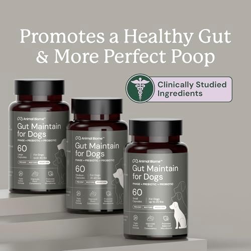 Animal Biome Medium Dog Pre & Probiotics, S Boulardii, Gut Maintain, 60 Ct