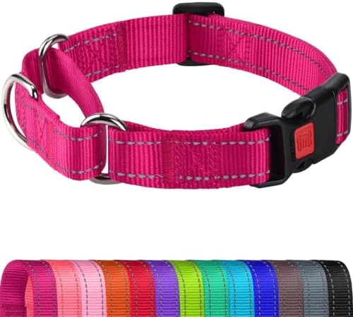 Joytale Martingale Collar for Dogs, Escape Proof No Pull, Hotpink, M