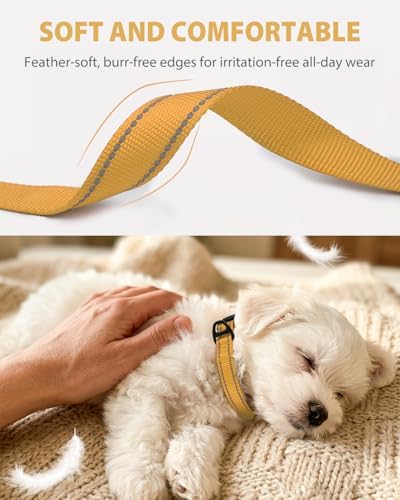 Joytale Feather-Light Dog Collar for Small & Medium Dogs, 3/4", Khaki