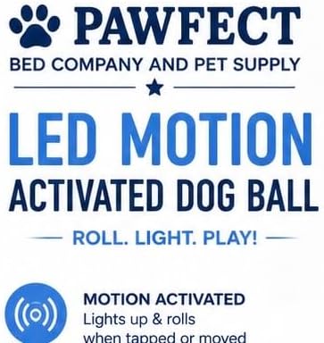 Interactive cat Toy Ball Chaser led recharable USB (Blue)