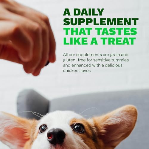 Get Joy Mobility Chew, Hip & Joint Supplement for Dogs, Vet Recommended Soft Daily Activity & Flexibility Support with Glucosamine, MSM & Green-Lipped Mussel, Made in USA, 90 Count