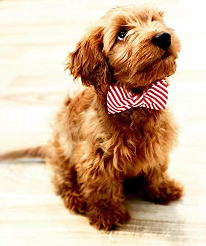 Lionet Paws Christmas Dog Collar with Bowtie Durable Adjustable Handmade Comfortable Bow Tie Dog Collar Cat Collar with Metal Buckle for XXS Cats,Party,Festival,Holiday Style,Neck 7-11in