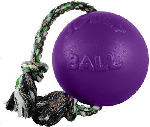 Jolly Pets Romp-N-Roll Rope & Ball Dog Toy, 4.5 in Small, Purple | Rope-and-ball fetch toy in tough JollyFlex - won't deflate if punctured, floats, made in USA