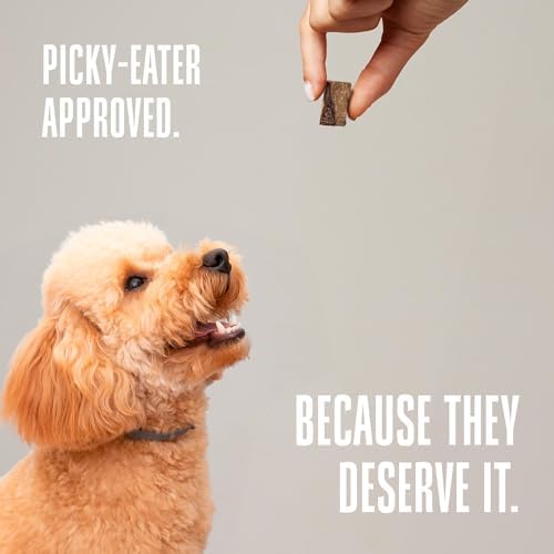 Whole Life Just One Beef Liver Freeze-Dried Dog Treats - 18 oz