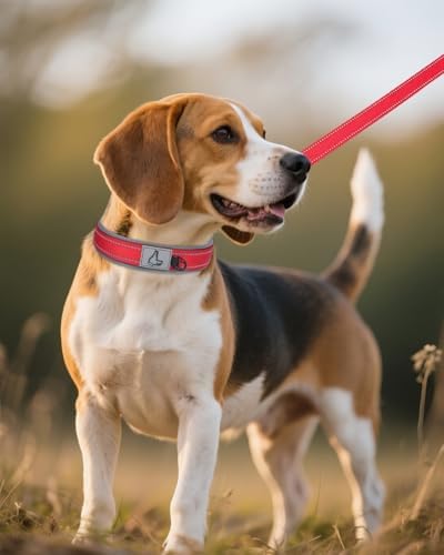 Joytale Reflective Dog Collar for Medium Dogs with Wide Padding, Red