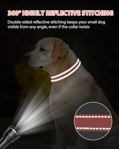 Joytale Feather-Light Dog Collar for Medium & Large Dogs, 1", Neon Pink