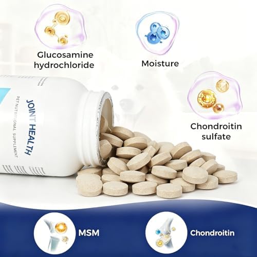 Dog Joint Health Supplement Chews, Glucosamine & Chondroitin for Hip and Joint Support, Chicken Flavor Soft Chews for Dogs, 100 Tablets