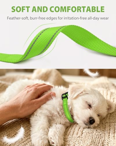 Joytale Feather-Light Dog Collar for Small & Medium Dogs, 3/4", Green