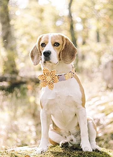 Lionet Paws Dog Collar with Flower, Soft and Comfortable, Adjustable Collar for X-Large Dogs Girl, Neck 16-26 inches