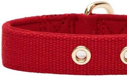 Blueberry Pet New Classic Modern Iconic Neoprene Padded Dog Collar Scarlet Red/Large