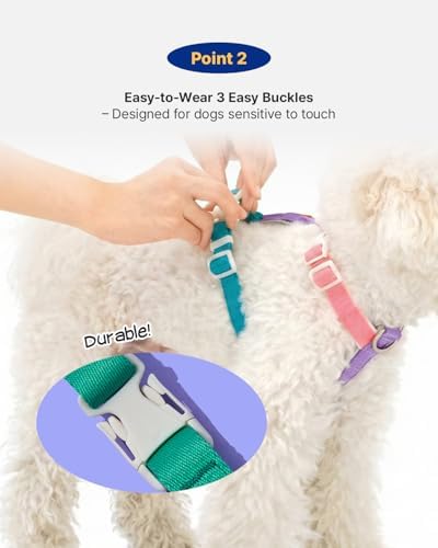 PETHROOM x Wiggle Wiggle Dog Backpack Harness with Leash, Bear-Shaped, Large