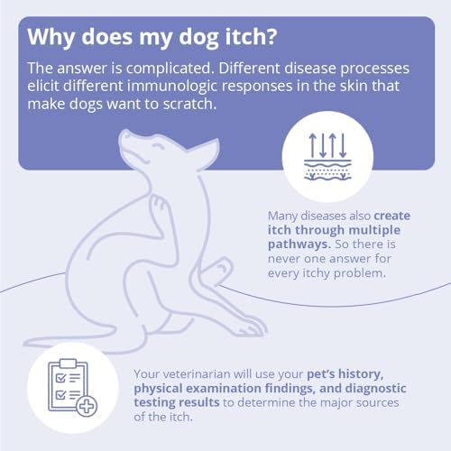 MiconaHex+Triz Shampoo for Dogs, Cats and Horses, Gallon | Antibiofilm, Moisturizing; Packaging May Vary