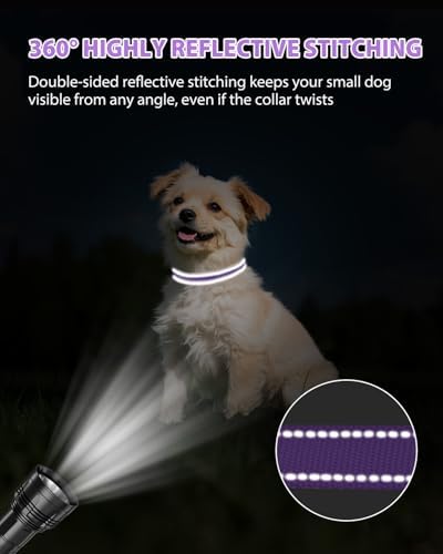 Joytale Feather-Light Dog Collar for Small Dogs & Puppies, 5/8", Purple