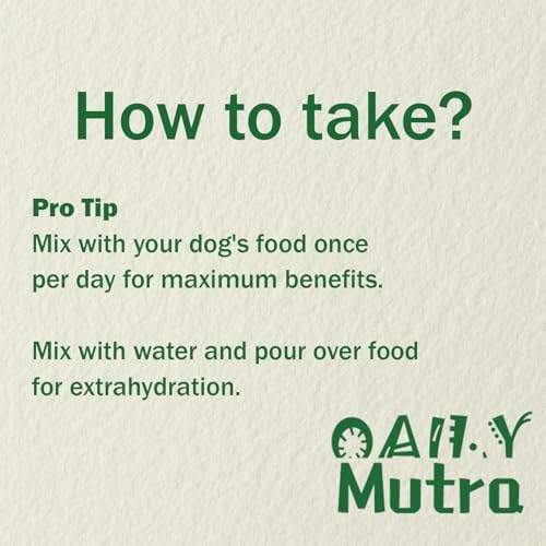 Dog Multivitamin Powder, 45-in-1 for Joint, Gut & Immune Support, 8.8 oz | Probiotics, Omega 3, chondroitin & digestive enzymes; bacon pumpkin flavor, easy to mix with food, skin & coat support