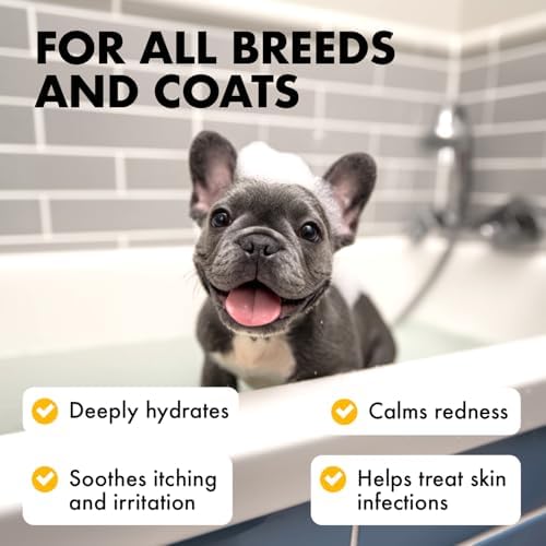 LEGITPET Oatmeal Dog Shampoo & Conditioner Set for Itchy Skin, 2 x 16 oz | Colloidal oatmeal, aloe and honey help soothe itchy, allergy-prone, dry and sensitive skin while conditioning the coat.