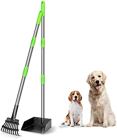 Extra Large Pooper Scooper rake & Tray & Shovel + Standard Pooper Scooper rake & Tray