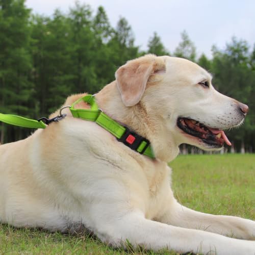 Joytale Martingale Collar for Dogs, Escape Proof No Pull, Green, S
