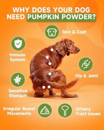 Pumpkin Powder for Dogs, Daily Support Dog Digestion Health, Chicken Flavor
