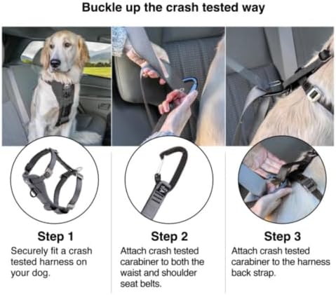 Kurgo Enhanced Strength Tru-Fit Smart Harness, Charcoal, Small