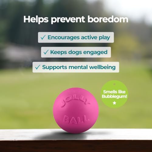 Jolly Pets Bounce-N-Play Large Dog Ball, 8 In, Pink | Durable large dog ball for dogs over 60 lbs, made from tough JollyFlex material that won't deflate when punctured and floats