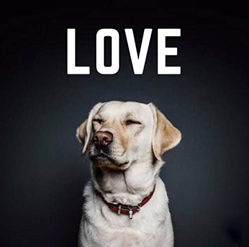 Etta Says! Pork & Bacon Meat Treats for Dogs - 6ct