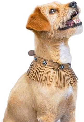 Blueberry Pet Silver-Powered Freshness Western Fringe Brown Microfiber Suede Collar with Turquoise Conchos