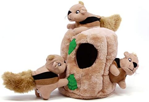 Outward Hound Hide A Squirrel Plush Dog Toy Puzzle (Large) and Benebone Wishbone Durable Dog Chew Toy (Medium)