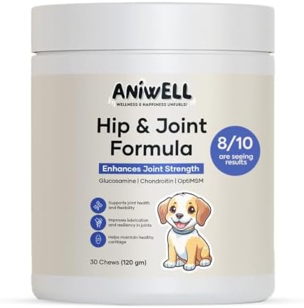 Hip and Joint Supplement for Dogs with Glucosamine Chondroitin MSM and Ashwagandha | Dog Joint Supplement Soft Chews for Mobility and Cartilage Support | Pack of 2