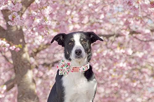 Lionet Paws Dog Collar with Flower, Soft and Comfortable, Adjustable Collar for Large Dogs Girl, Neck 16-24 inches