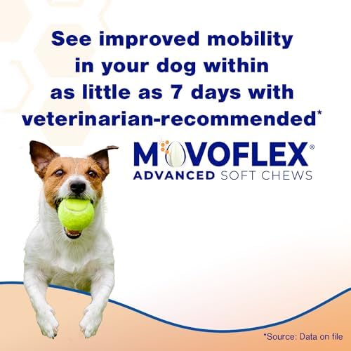 MOVOFLEX Advanced Soft Chews Hip and Joint Support Supplement for Medium Dogs -120 Count by Virbac
