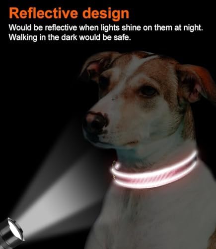 Joytale Reflective Dog Collar, Adjustable Neoprene Padded, Neon Pink M